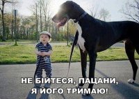 imageDUL3HOUF.jpg