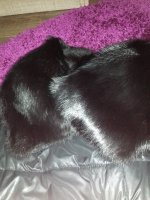 20170212_182534.jpg