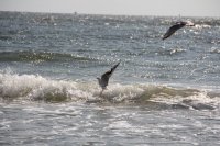 IMG_9147.JPG