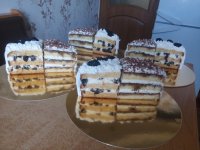 IMG_20170307_104312.jpg