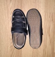 IMG_20170403_093129.jpg
