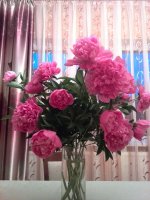 IMG_20150604_215127.jpg