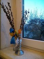 IMG_20170409_064236.jpg