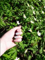 20170402_151645.jpg