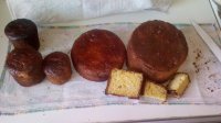 IMG_20170415_095431.jpg
