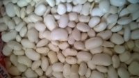 WP_20170421_001.jpg
