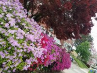 20170426_185708.jpg