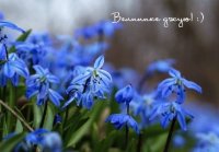 RTEmagicC_Spring-3_01.jpg.jpg