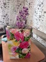 IMG_20170430_130958.jpg