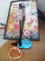 IMG_20170429_110346.jpg