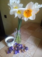 IMG_20170424_135347.jpg
