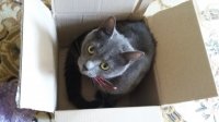 20170504_131922.jpg