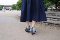 IMG_9776.JPG