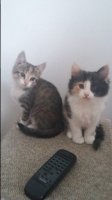 20170524_153855.jpg