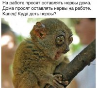 qOzjpA0HkAQ.jpg