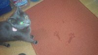 20150214194330.jpg