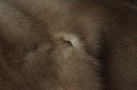 DSC_0846.JPG