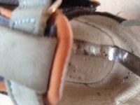 DSC07679.JPG