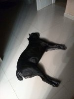 tmp_IMG_20170610_020123-1042518256.jpg