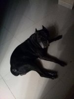 tmp_IMG_20170610_020132-1042518256.jpg