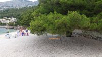 20170610_102505.jpg