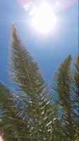 20170611_133435.jpg