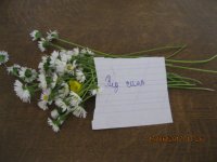 IMG_6091.JPG