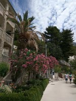 IMG_20170610_121351.jpg