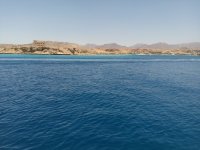IMG_20170521_121242.jpg