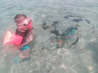 IMG_20170523_105302.jpg