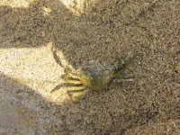 IMG_0246.JPG