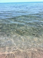 IMG_20170622_130950.jpg
