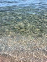 IMG_20170622_131009.jpg
