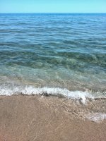 IMG_20170622_131018.jpg