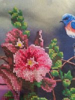 IMG_20170702_222734.jpg
