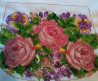 IMG_20170620_195421.jpg