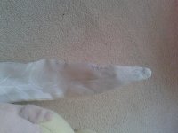 20121036_1676388682373240_1734917994_n.jpg