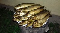 20170812_222049.jpg