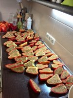 IMG_20160811_001547.jpg