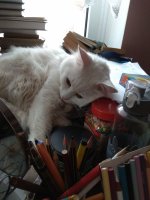 IMG_20170912_133951.jpg