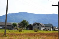 DSC_0241.JPG