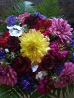 IMG_20170930_085619.jpg
