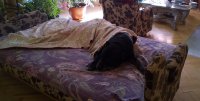 IMG_20171001_153027.jpg