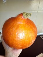 IMG_20171001_162227.jpg