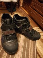 IMG_20171006_191744.jpg