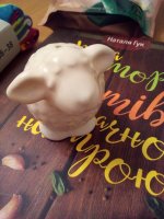 IMG_20171002_004248.jpg