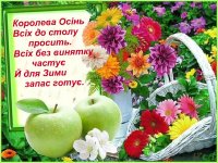 imageKC5J3725.jpg