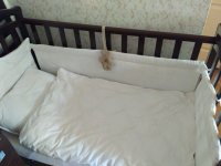 IMG_20170830_113042.jpg
