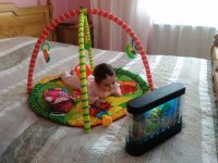 IMG_20170930_114313.jpg