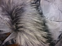20171024_181845.jpg